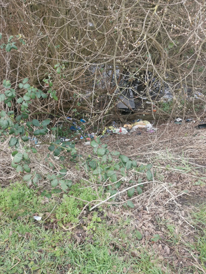 Rubbish in Rainham Village